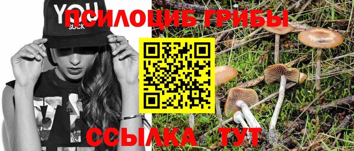 Серпухов  Галлюциногенные грибы MAGIC MUSHROOMS  Вход с VPN  Галлюциногенные грибы ЛСД 